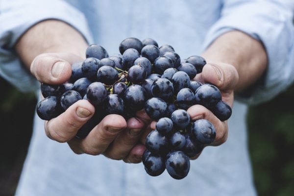superfoods-diatrofi-geonutrition