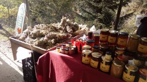 kastanitsa-travelstory-travelblogger-geonutrition