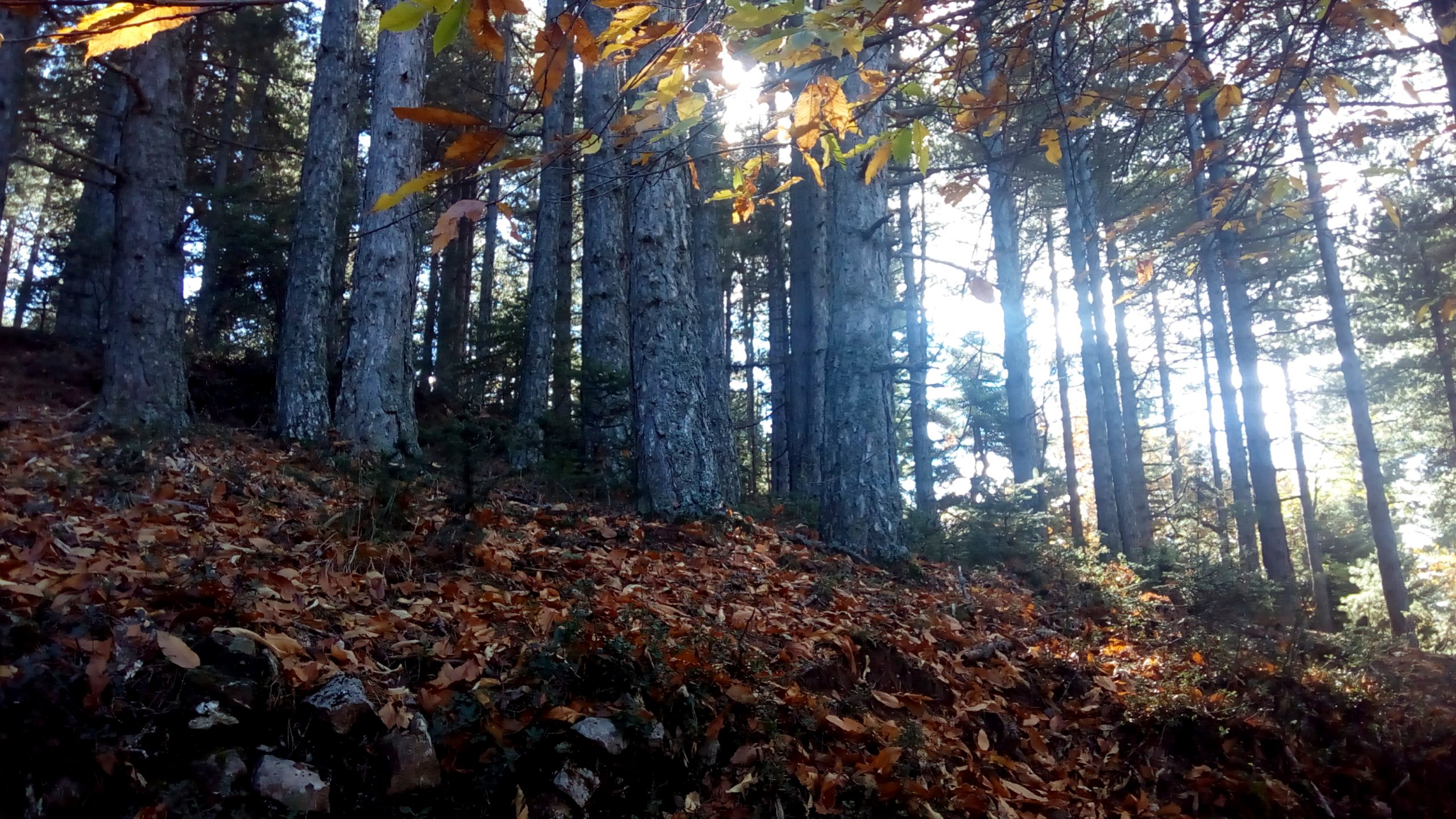 kastanitsa-travelstory-travelblogger-geonutrition