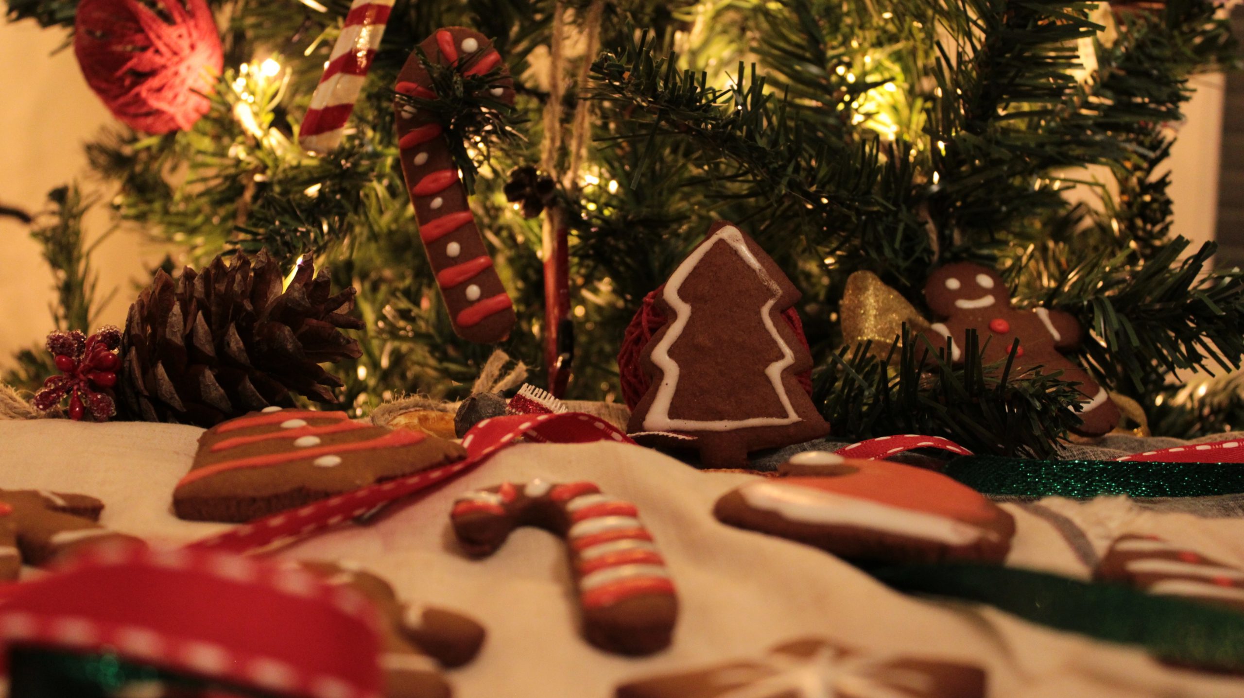 Gingerbread μπισκότα με χαρουπόμελο